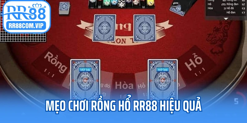 Mẹo chơi rồng hổ RR88 hiệu quả