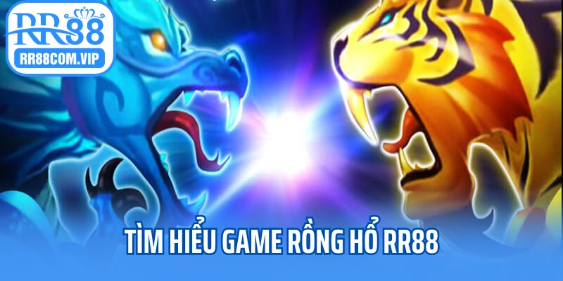 Tìm hiểu game rồng hổ RR88